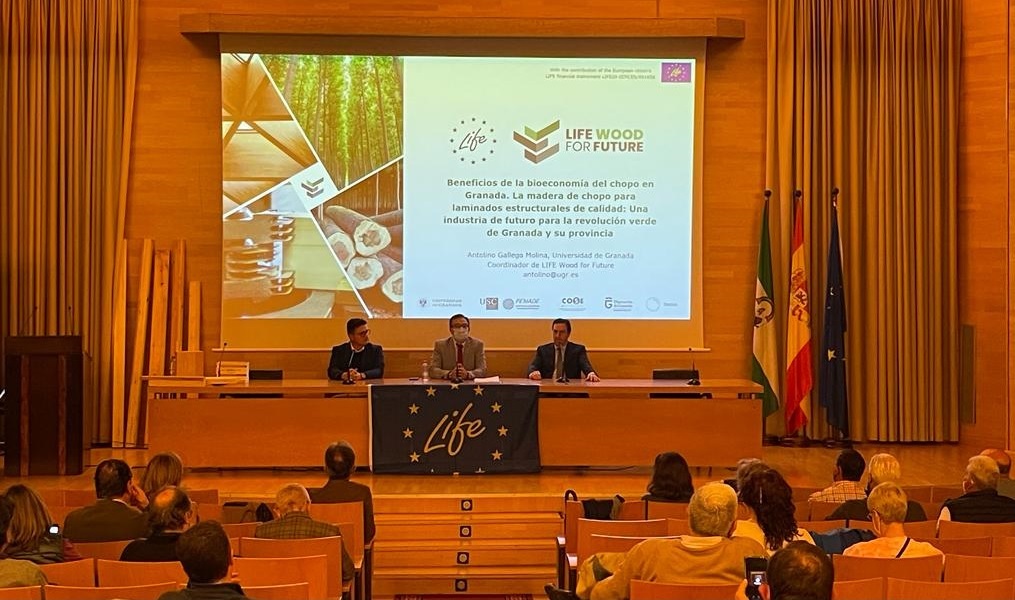 LIFE Madera para el Futuro presenta ante el Consejo Social su propuesta para una bioeconomía del chopo en Granada