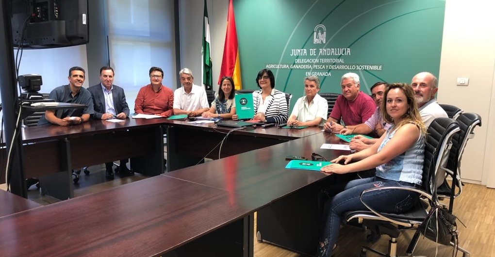 Marjal formally presents itself to the Andalusian Regional Government