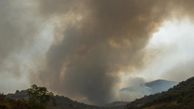 El sector forestal Andaluz reacciona ante el terrible incendio de los Gúajares en Granada. La gestión forestal sostenible es la mejor arma para la prevención