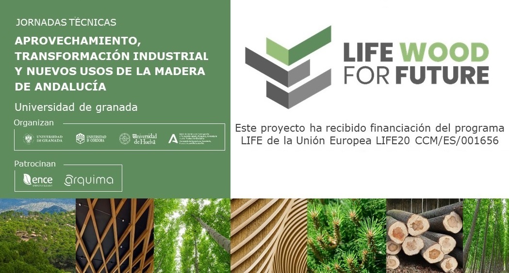 Vídeo de inauguración de Jornadas Técnicas: Aprovechamiento, transformación industrial y nuevos usos de la madera de Andalucía