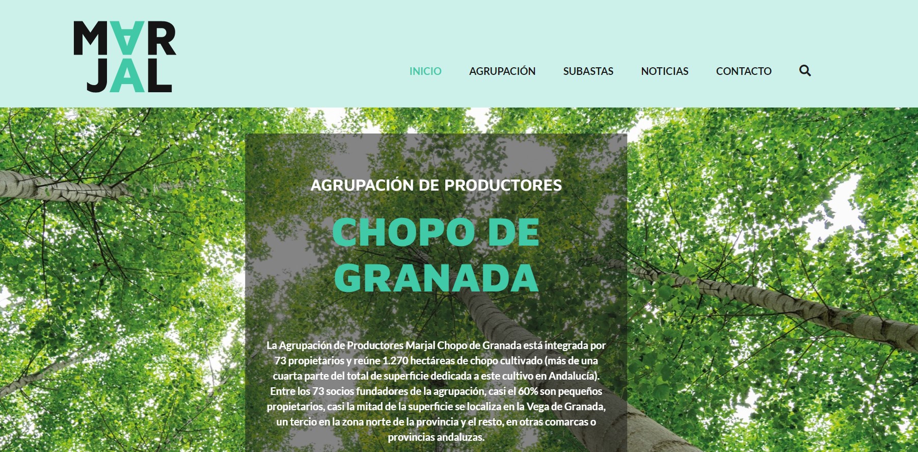 La Agrupación Marjal estrena su web lanzando su primera subasta de madera de chopo