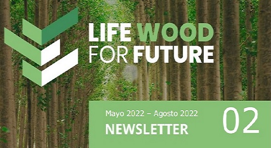 Publicación de la segunda edición de la Newsletter del proyecto LIFE Wood For Future