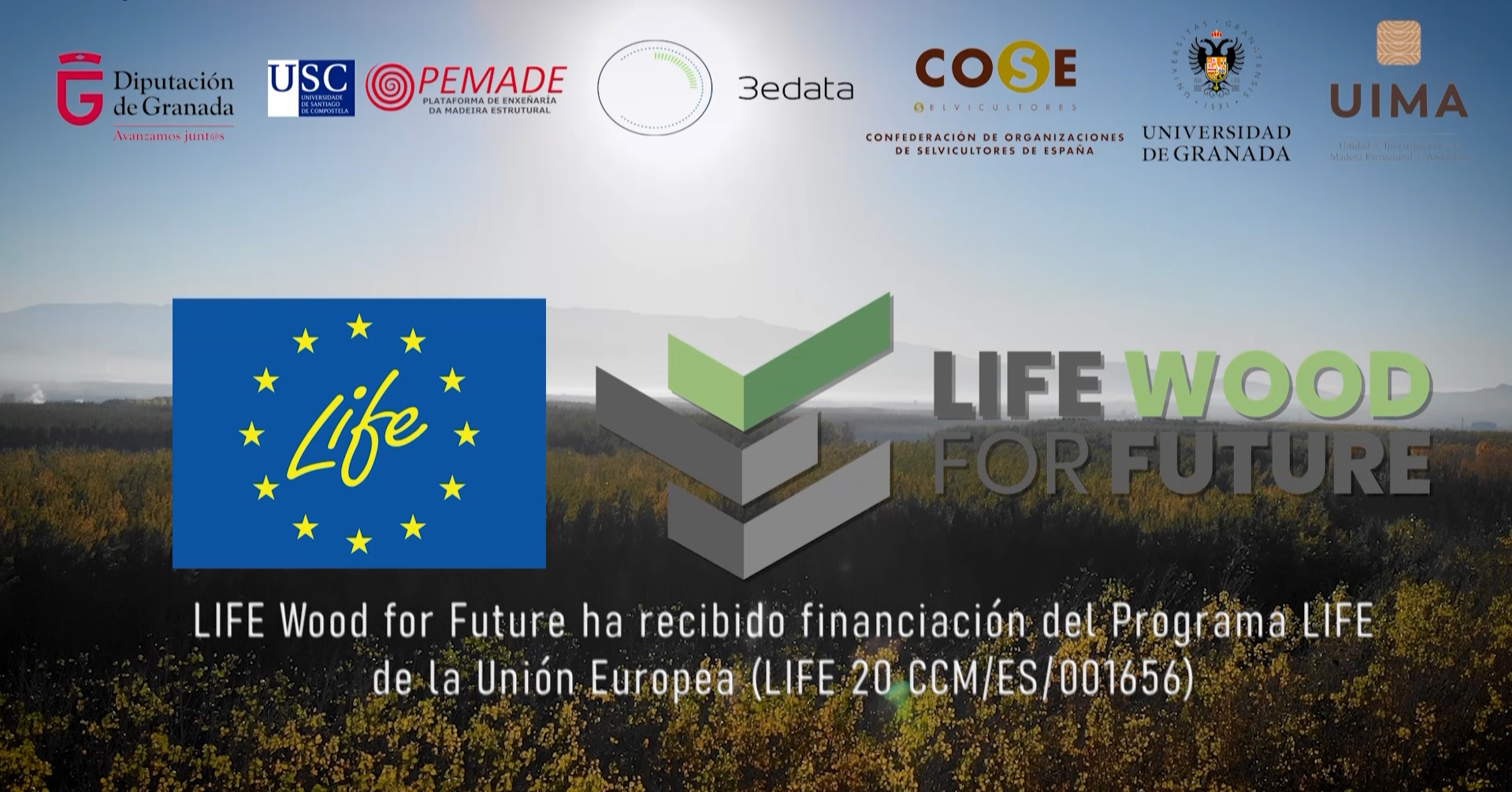 Presentado en sociedad el vídeo de lanzamiento LIFE Wood for Future