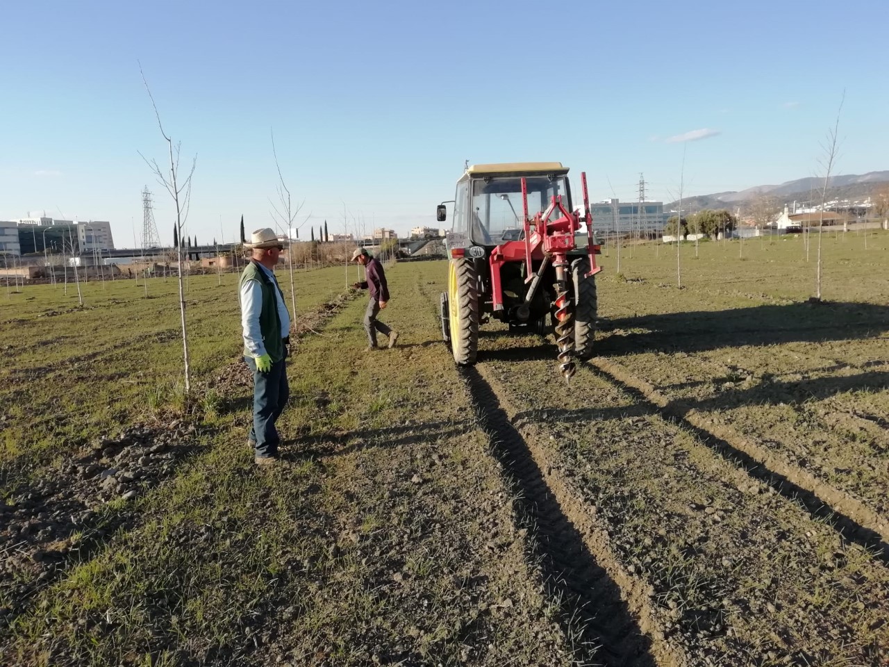 Nocla Demonstration Farm enters its second year of planting