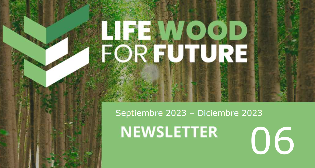 Publicación de la sexta edición de la Newsletter del proyecto LIFE Wood For Future