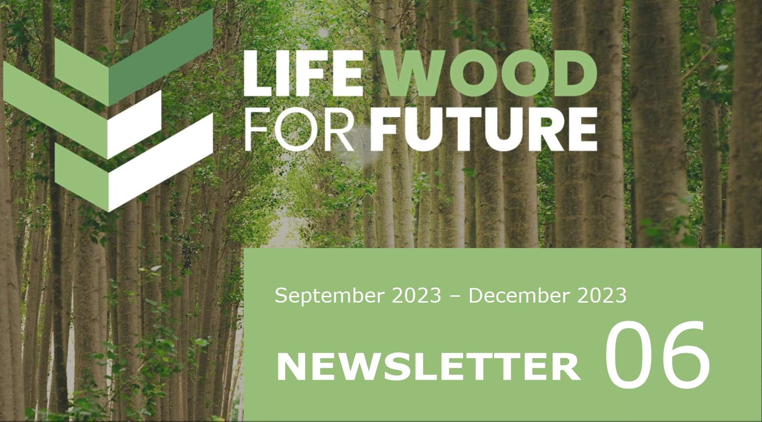 PUBLICATION OF THE SIXTH NEWSLETTER OF THE LIFE WOOD FOR FUTURE PROJECT