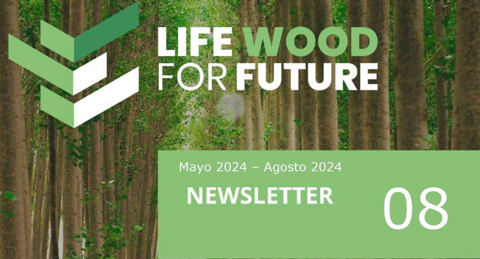 Publicación de la octava edición de la Newsletter del proyecto LIFE Wood For Future