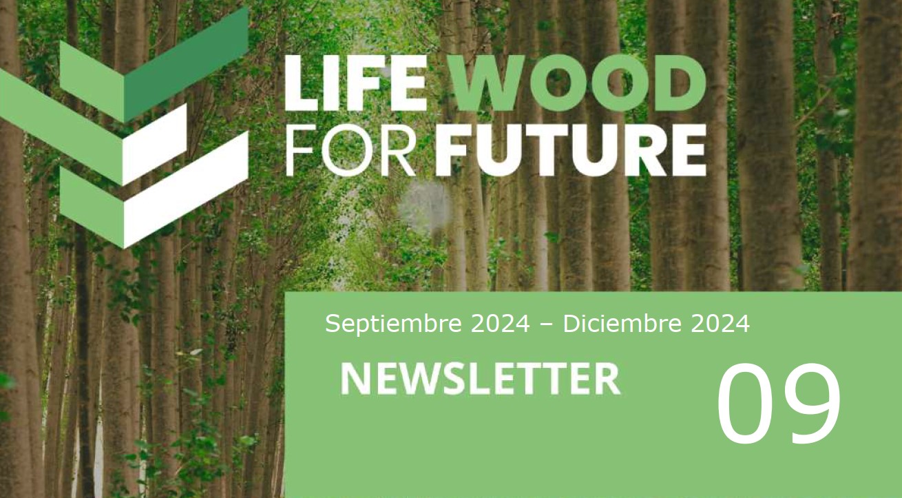 Publicación de la novena edición de la Newsletter del proyecto LIFE Wood For Future