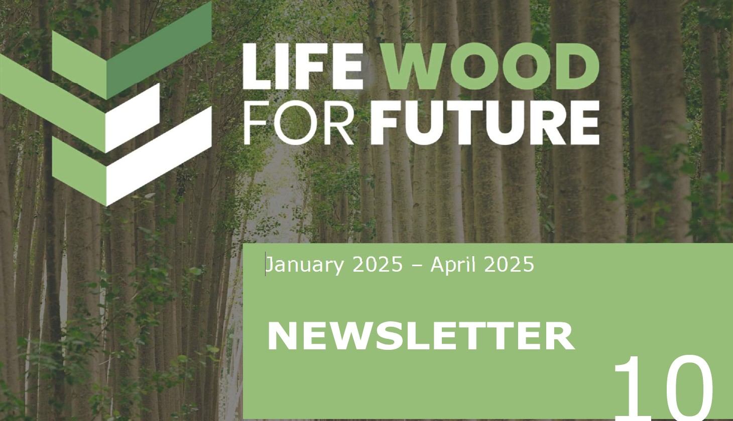 PUBLICATION OF THE TENTH EDITION OF THE LIFE WOOD FOR FUTURE PROJECT NEWSLETTER