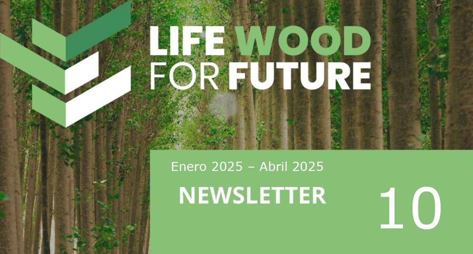 Publicación de la décima edición de la Newsletter del proyecto LIFE Wood For Future
