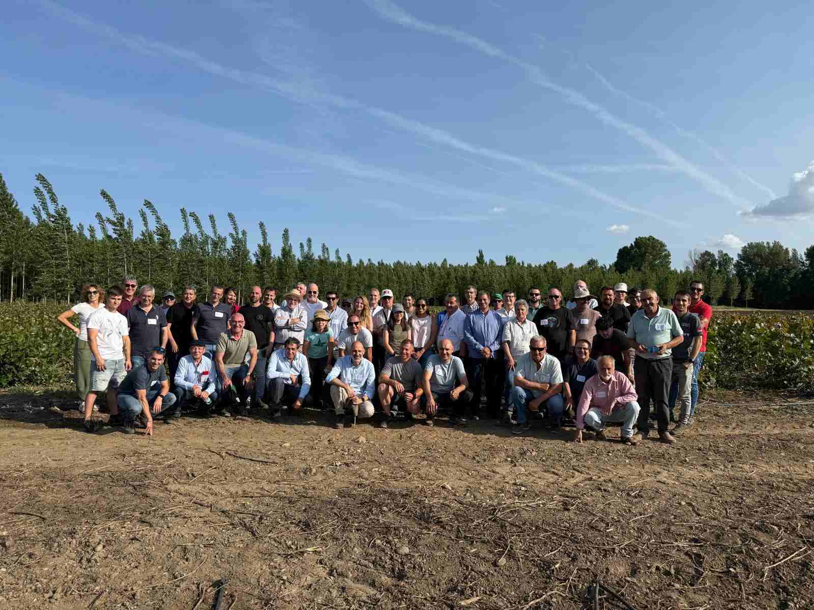 LIFE Wood for Future presenta sus resultados en Populus 360, una jornada internacional en León para abordar los desafíos del sector del chopo